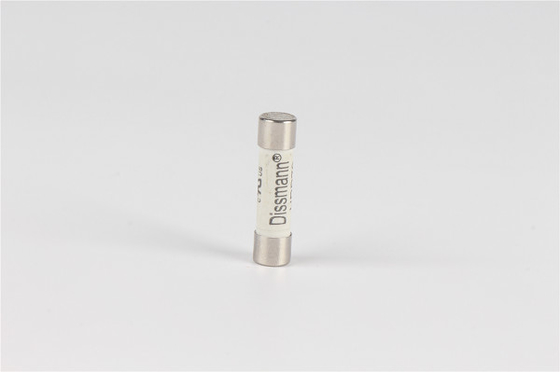 ฟิวส์หลอดเซรามิกโทรคมนาคม, ทำหน้าที่อย่างรวดเร็ว 100 แอมป์ 250v ฟิวส์