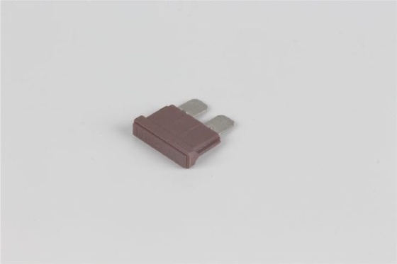 80v 40 แอมป์เสียบฟิวส์ Fast Acting PBT วัสดุแรงดันต่ำ