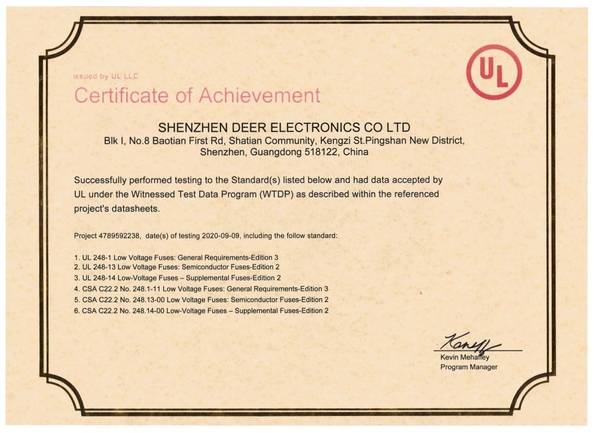 ประเทศจีน Dissmann | Global Expert Fuse for EV | HEV | Photovoltaic | Battery | Energy Storage Solutions รับรอง